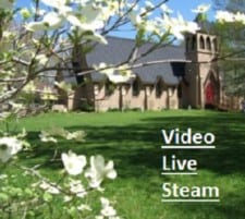 Live Stream Eucharist Service